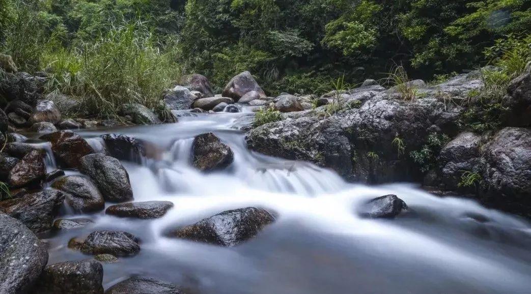 阿提拉：全面战争